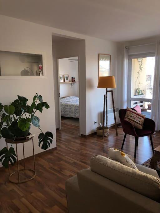Bel Appartement Nimois Au Calme Avec Balcon Нім Екстер'єр фото